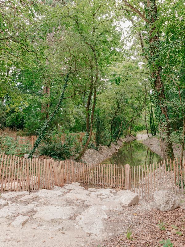 Forêt urbaine du quartier de l'Étang – contact à l'eau